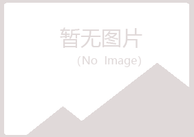 兴山区现实水泥有限公司